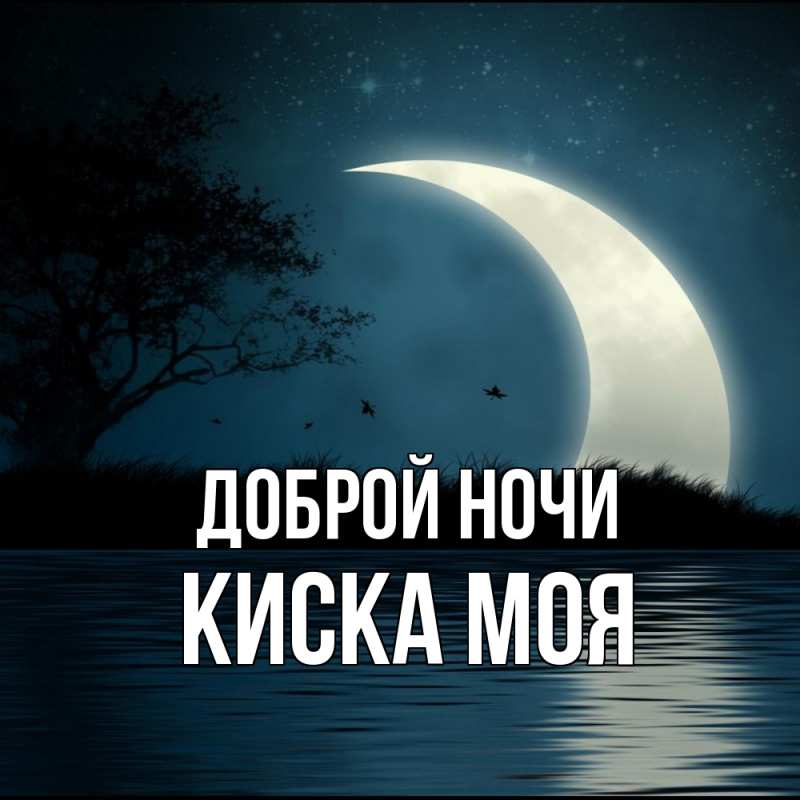 Картинка Доброй ночи, Киска моя