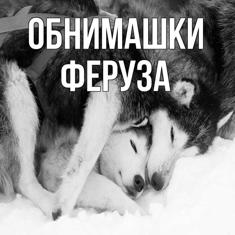 Картинка Обнимашки, Феруза