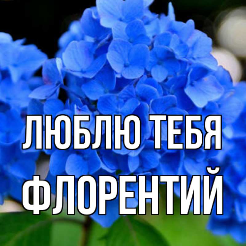 Открытка с именем, Флорентий, Люблю тебя