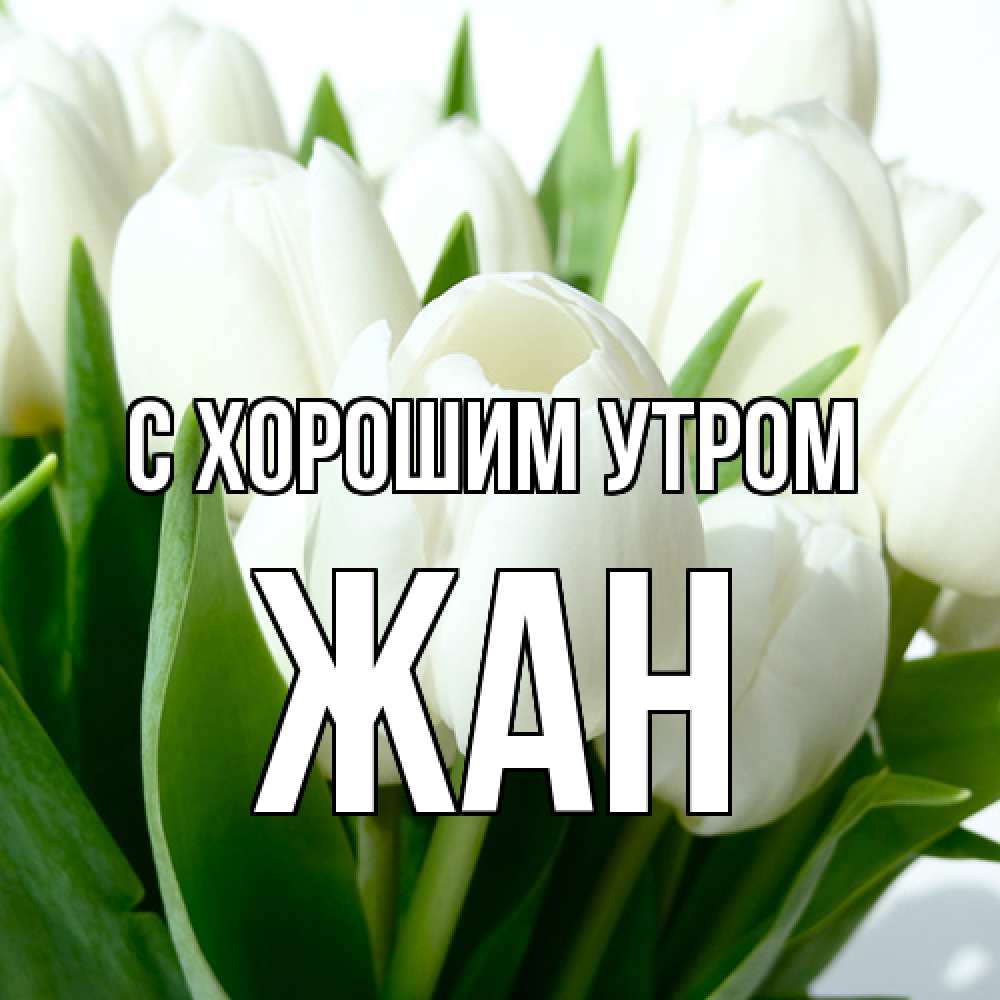 Открытка на каждый день с именем, Жан С хорошим утром открытки на каждый день по именам Прикольная открытка с пожеланием онлайн скачать бесплатно 