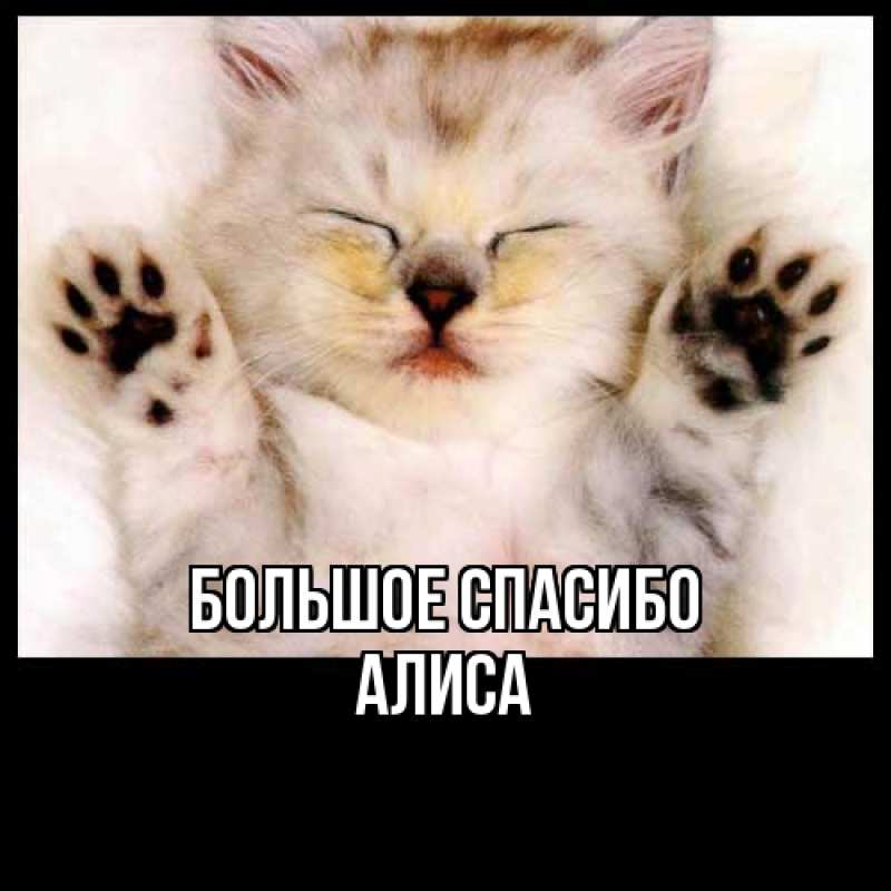 Картинка Большое спасибо, Алиса