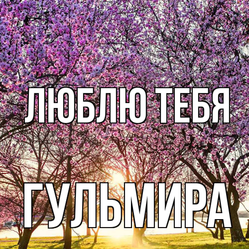 Открытка на каждый день с именем, Гульмира Люблю тебя международный женский день Прикольная открытка с пожеланием онлайн скачать бесплатно 