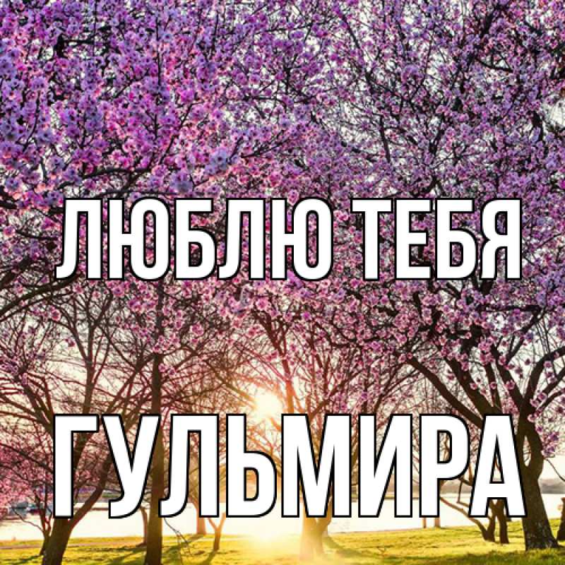 Картинка Люблю тебя, Гульмира