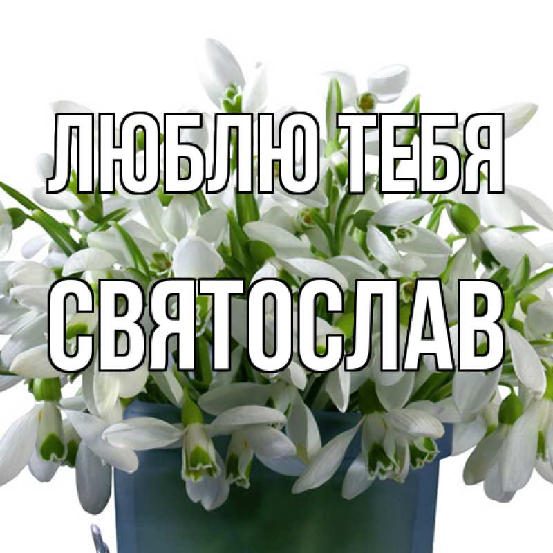 Открытка с именем, Святослав, Люблю тебя