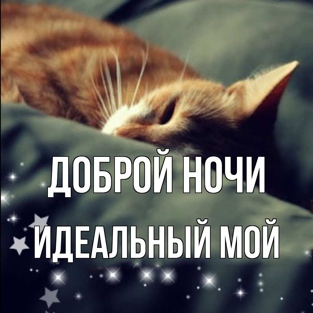 Открытка на каждый день с именем, Идеальный-мой Доброй ночи кроватка Прикольная открытка с пожеланием онлайн скачать бесплатно 