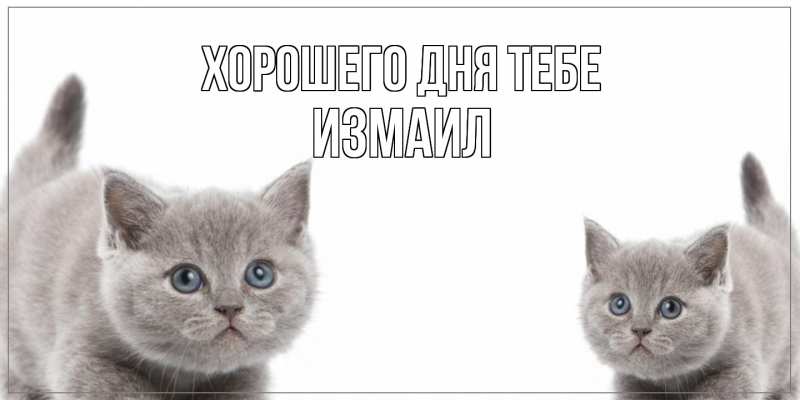 Картинка Хорошего дня тебе, Измаил