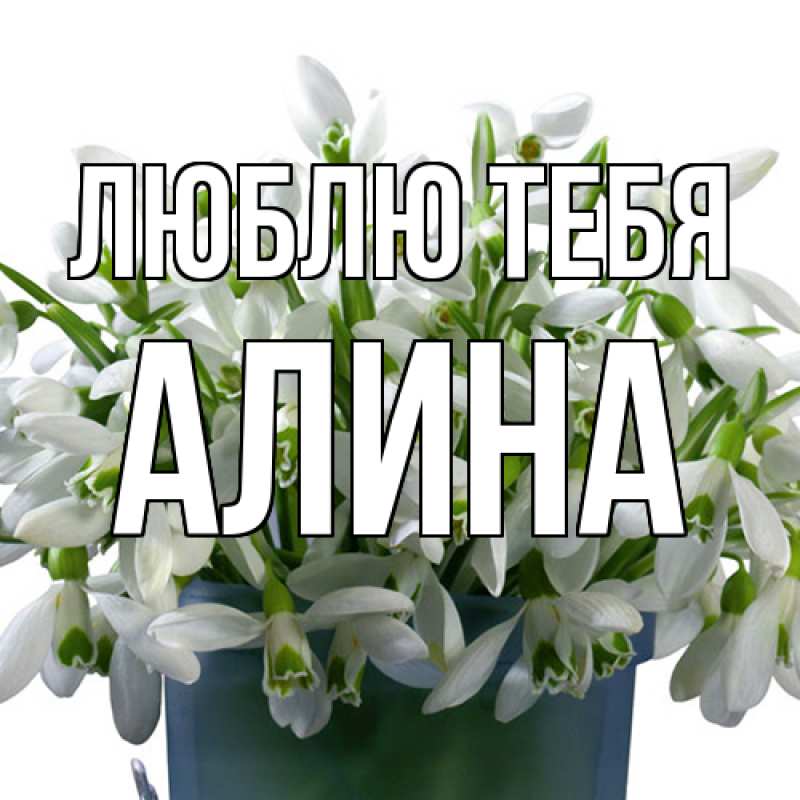 Картинка Люблю тебя, Алина