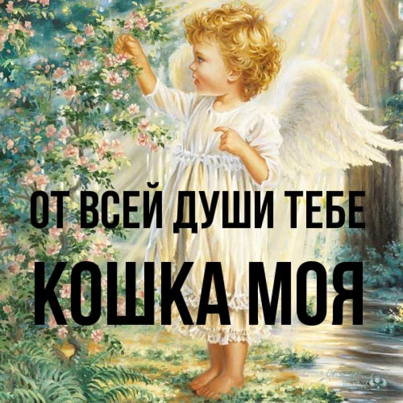 Картинка От всей души тебе, Кошка моя