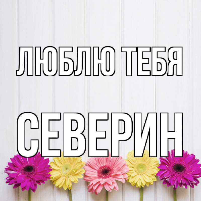 Картинка Люблю тебя, Северин