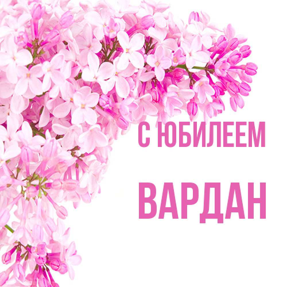 Открытка на каждый день с именем, Вардан C юбилеем Сирень на белом фоне Прикольная открытка с пожеланием онлайн скачать бесплатно 