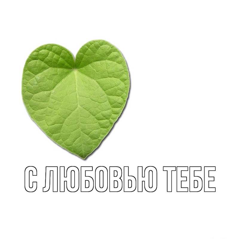 Картинка С любовью тебе, 