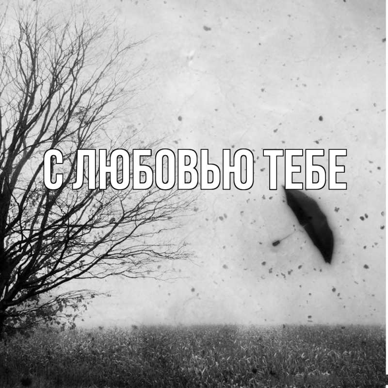 Открытка с именем, Федор, Скучашки