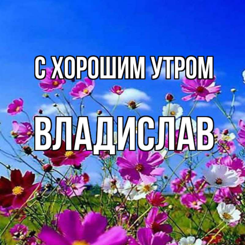 Картинка С хорошим утром, Владислав