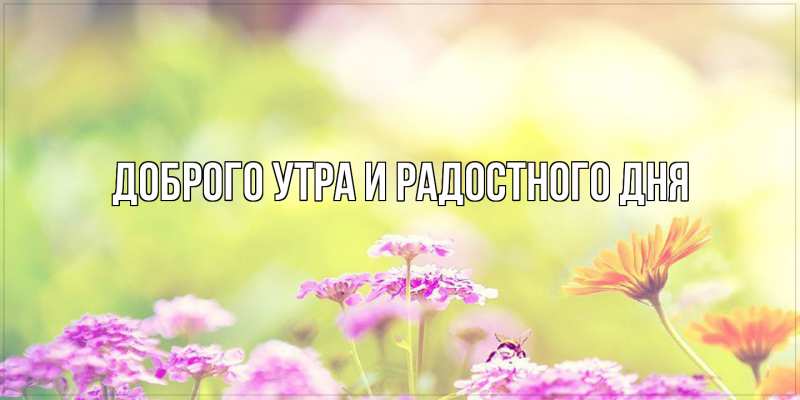 Картинка Доброго утра и радостного дня, 