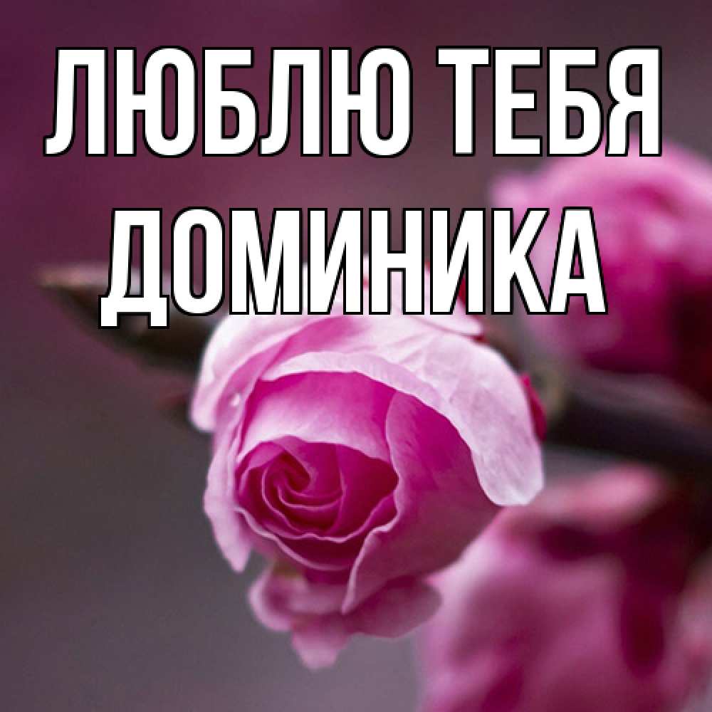Открытка на каждый день с именем, Доминика Люблю тебя весна Прикольная открытка с пожеланием онлайн скачать бесплатно 