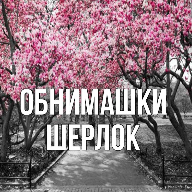 Картинка Обнимашки, Шерлок