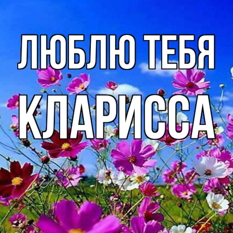 Картинка Люблю тебя, Кларисса