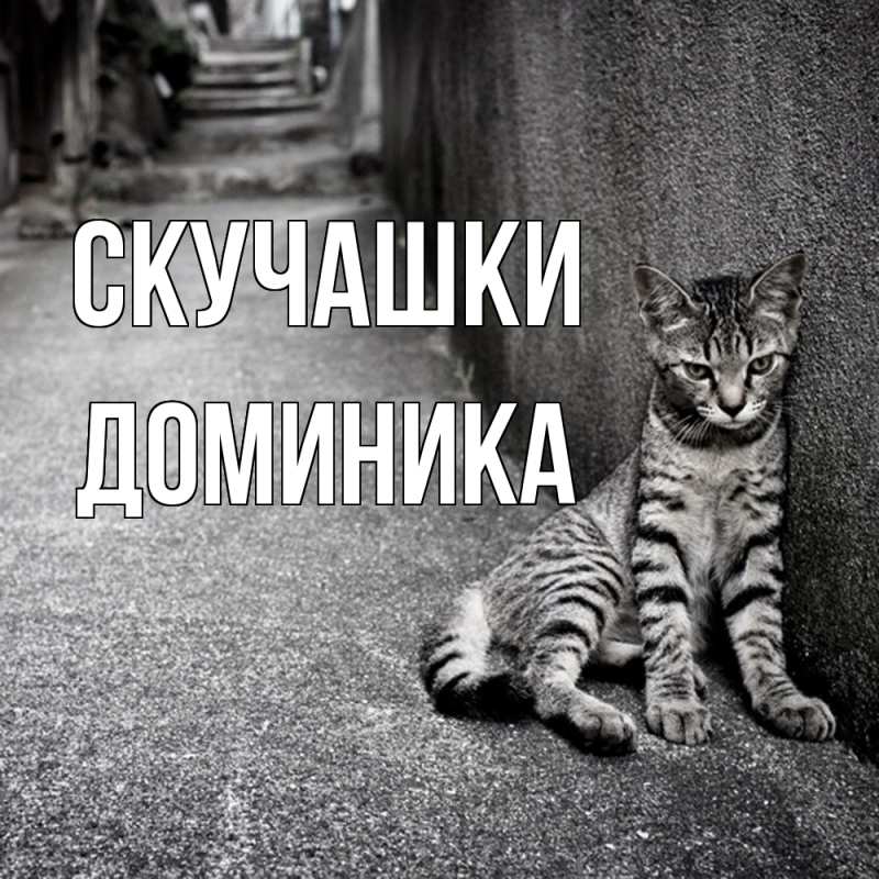 Картинка Скучашки, Доминика