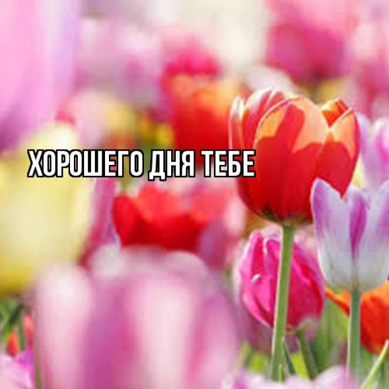 Картинка Люблю тебя, Леонид