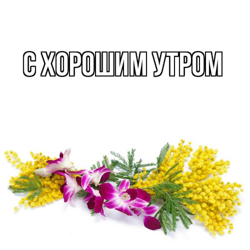Картинка Люблю тебя, Таня