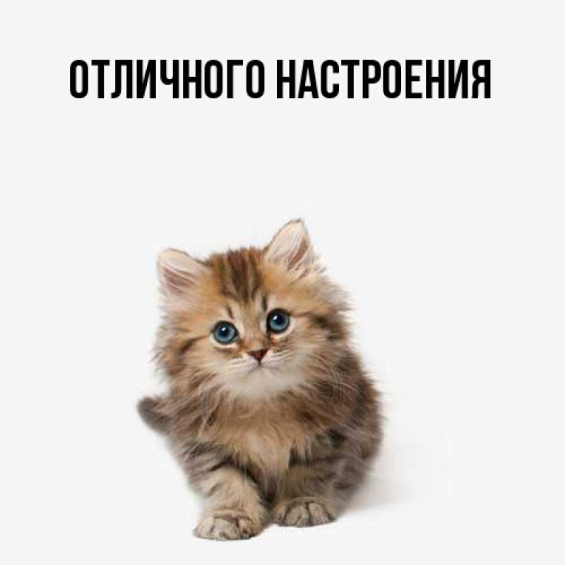 Картинка Большое спасибо, Инна