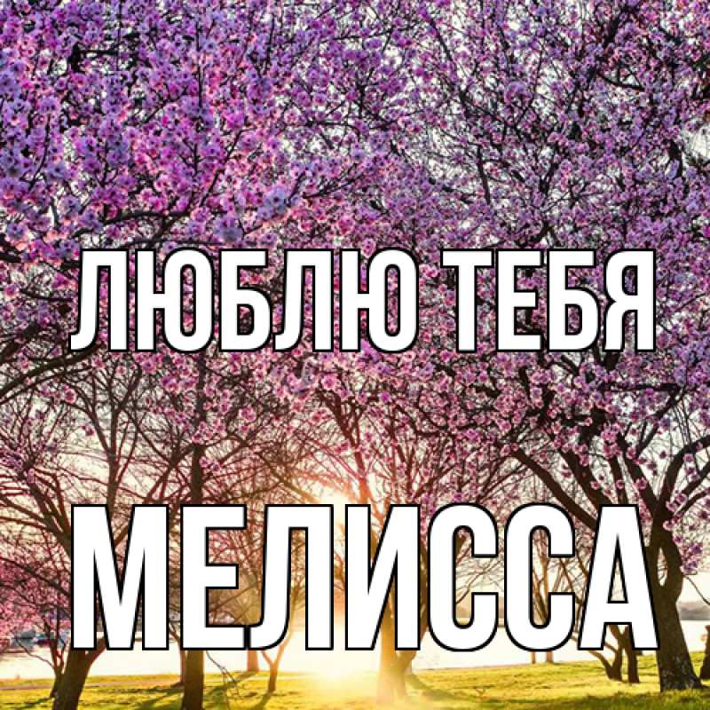 Картинка Люблю тебя, Мелисса