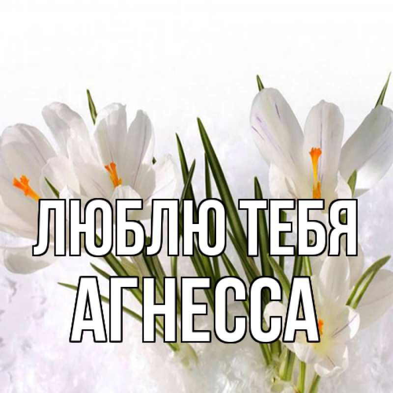 Картинка Люблю тебя, Агнесса