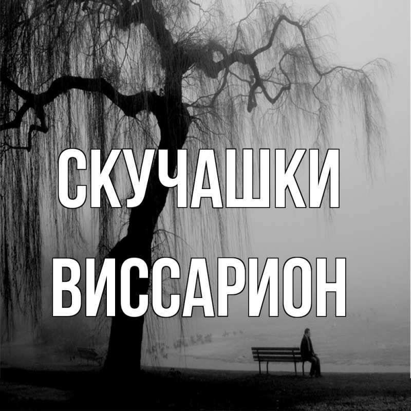 Картинка Скучашки, Виссарион