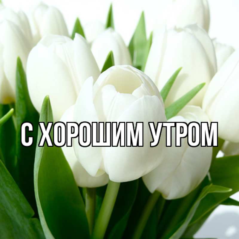 Картинка Люблю тебя, Таня