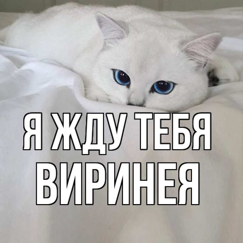 Открытка с именем, Виринея, Я жду тебя