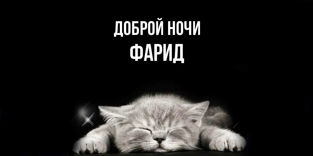 Открытка на каждый день с именем, Фарид Доброй ночи спящий котик Прикольная открытка с пожеланием онлайн скачать бесплатно 