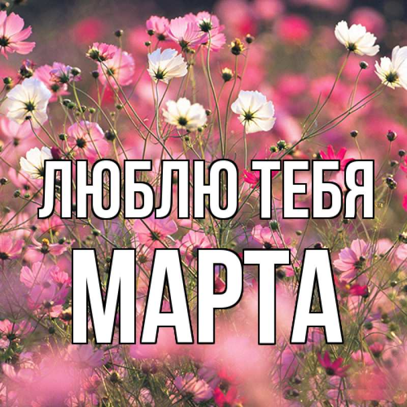 Картинка Люблю тебя, Марта