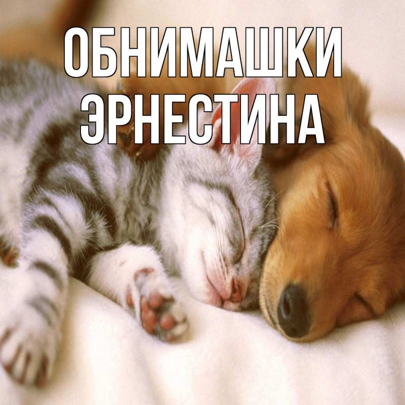 Картинка Обнимашки, Эрнестина