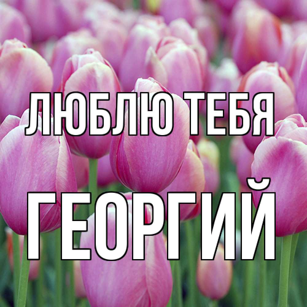 Открытка на каждый день с именем, Георгий Люблю тебя на международный женский день 3 Прикольная открытка с пожеланием онлайн скачать бесплатно 