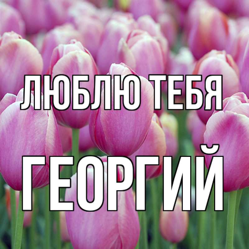 Картинка Люблю тебя, Георгий