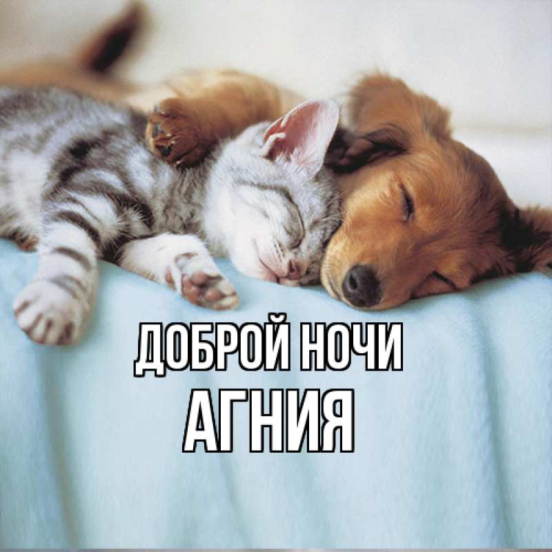 Картинка Доброй ночи, Агния