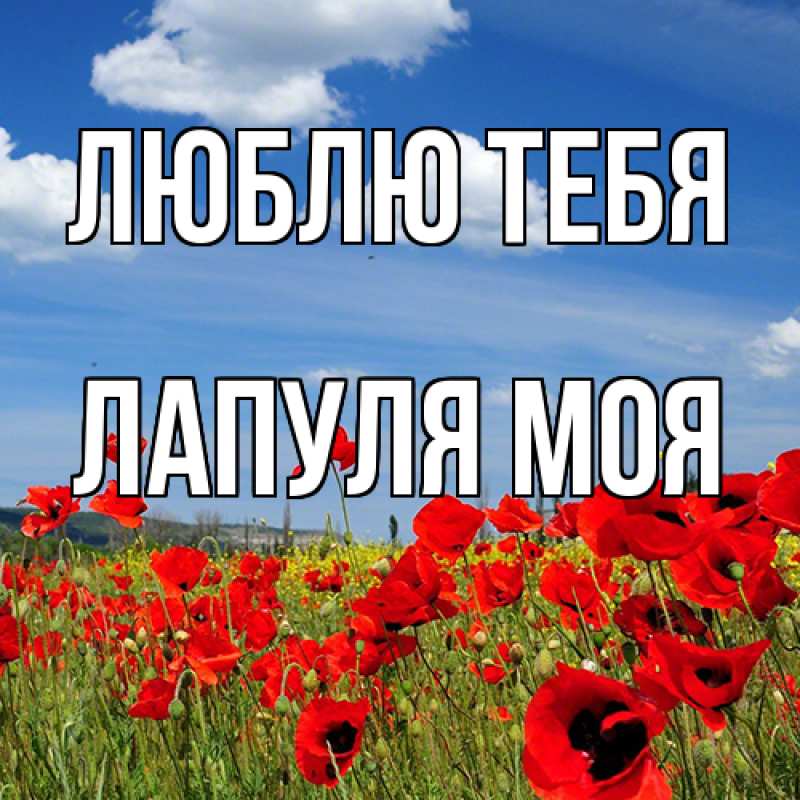 Картинка Люблю тебя, Лапуля моя
