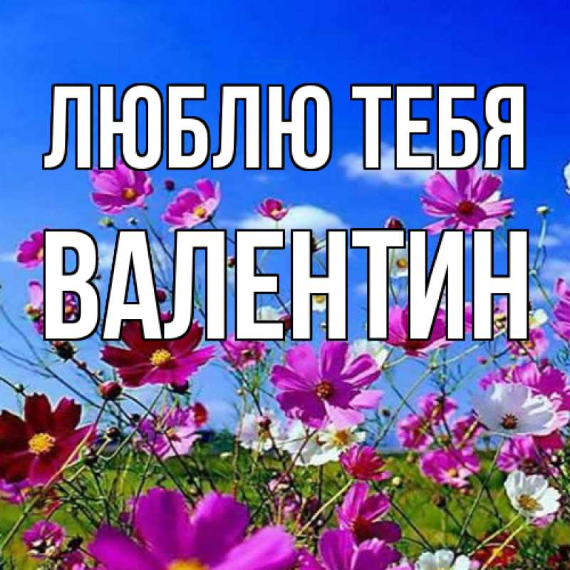 Картинка Люблю тебя, Валентин