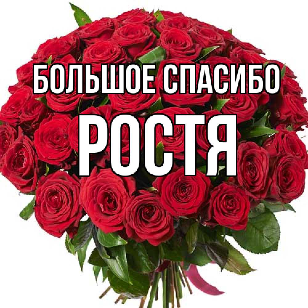 Открытка на каждый день с именем, Ростя Большое спасибо букет красных роз Прикольная открытка с пожеланием онлайн скачать бесплатно 