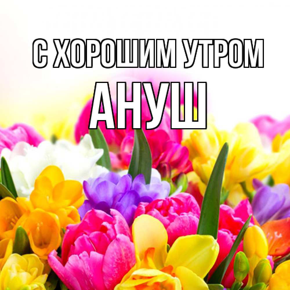 Открытка на каждый день с именем, Ануш С хорошим утром создать открытку со свое подписью Прикольная открытка с пожеланием онлайн скачать бесплатно 