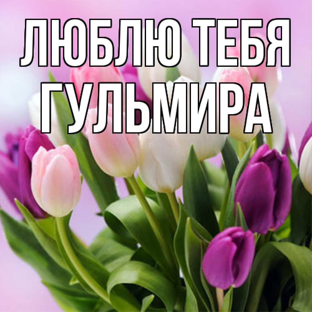 Открытка на каждый день с именем, Гульмира Люблю тебя весна март Прикольная открытка с пожеланием онлайн скачать бесплатно 