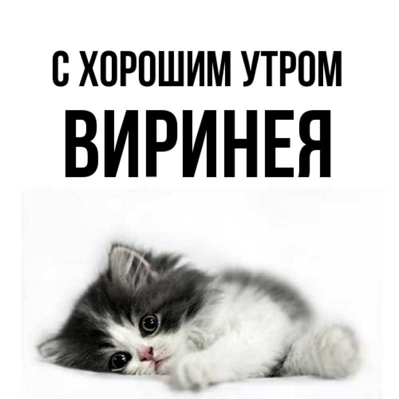 Картинка С хорошим утром, Виринея