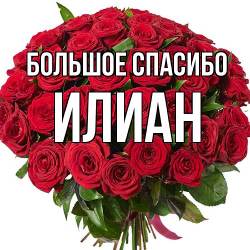 Картинка Большое спасибо, Илиан