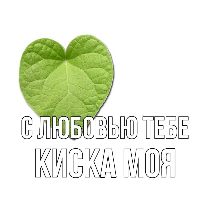 Картинка С любовью тебе, Киска моя