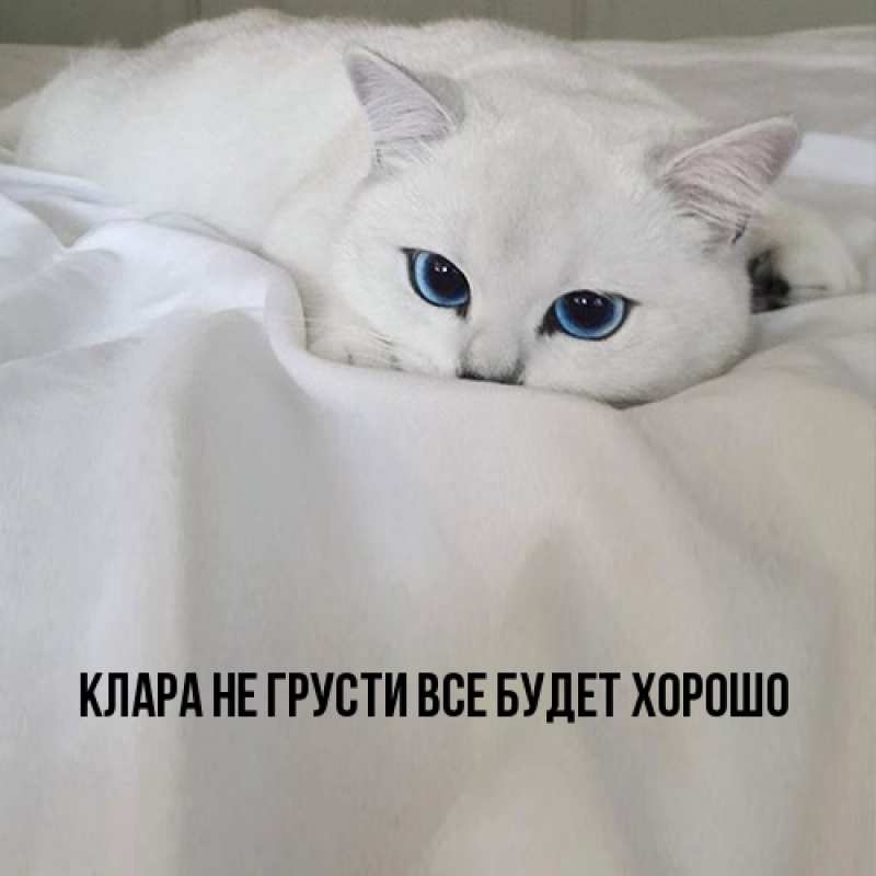 Картинка Не грусти, все будет хорошо, Клара