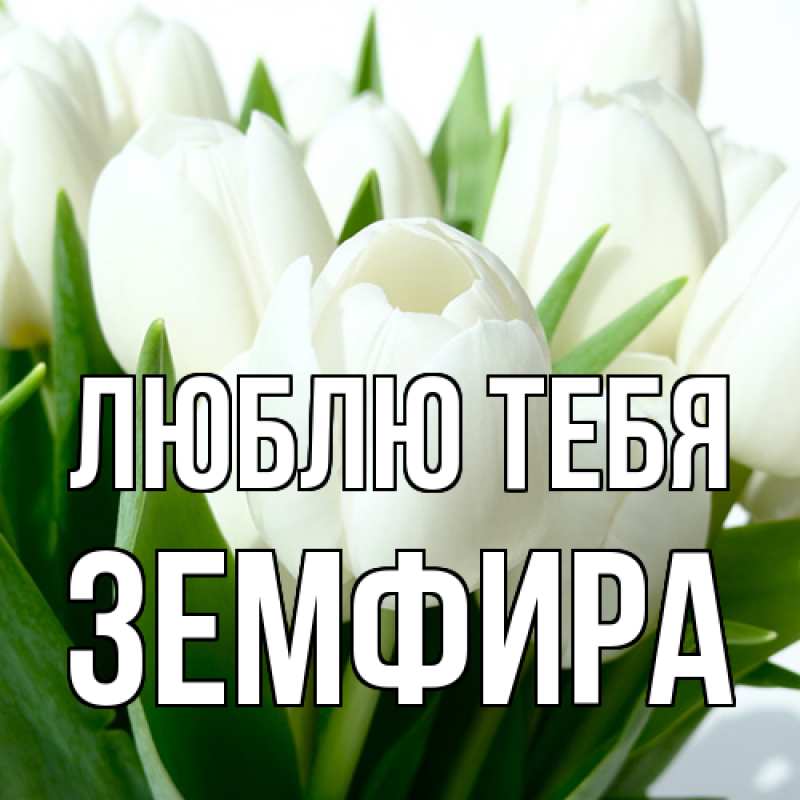 Картинка Люблю тебя, Земфира