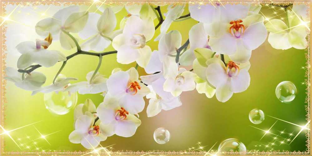 Открытка на каждый день с именем, Коля Люблю тебя открытка с цветами на международный женский день Прикольная открытка с пожеланием онлайн скачать бесплатно 