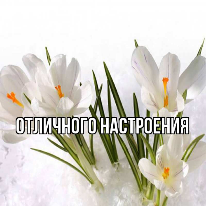 Картинка Люблю тебя, Габриэлла