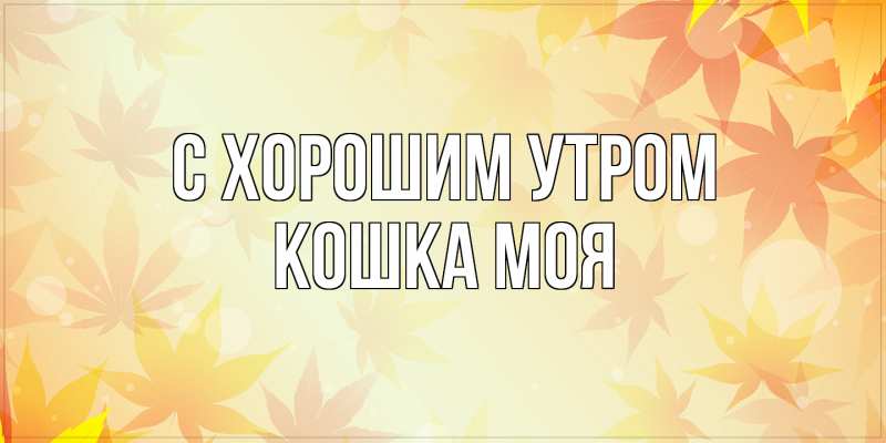 Картинка С хорошим утром, Кошка моя