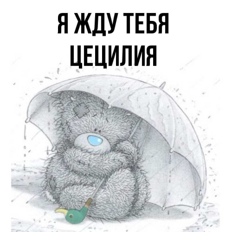 Картинка Я жду тебя, Цецилия